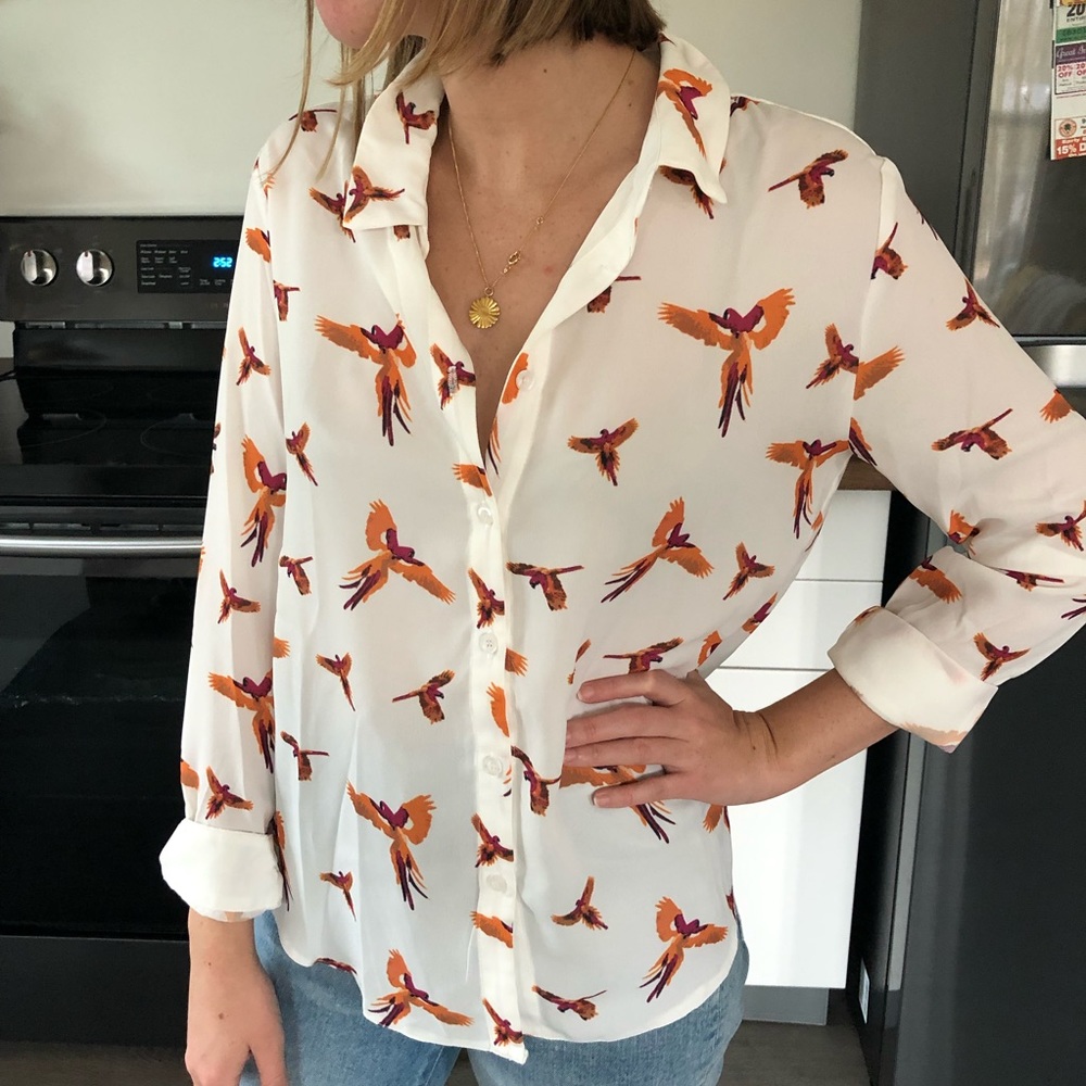 Parrots printed shirt